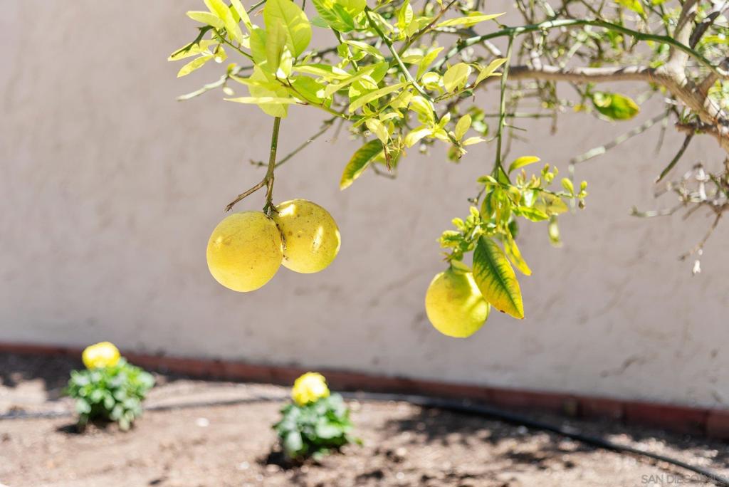 https://media.crmls.org/mediaz/d6c5732e-855f-4dce-aec5-1bc8ce95c0b9.jpg?preset=X-Large
