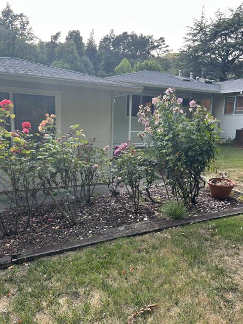 254 Mountain View Avenue, San Rafael CA: https://media.crmls.org/mediaz/d6d54585-98f8-4fd3-b092-de7de7f929ca.jpg