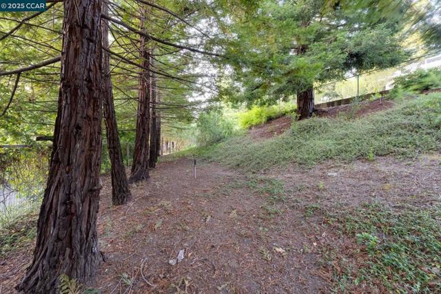 9 Irvine Drive, Moraga CA: https://media.crmls.org/mediaz/d6f1e4d1-5cbc-4508-8ffb-c56c3cba46cc.jpg