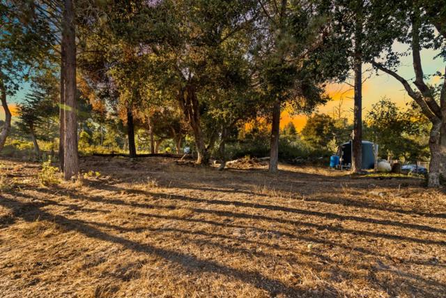 10200 West Drive, Felton CA: https://media.crmls.org/mediaz/d6f221ec-10f5-417c-9a42-577a6a7f53c4.jpg