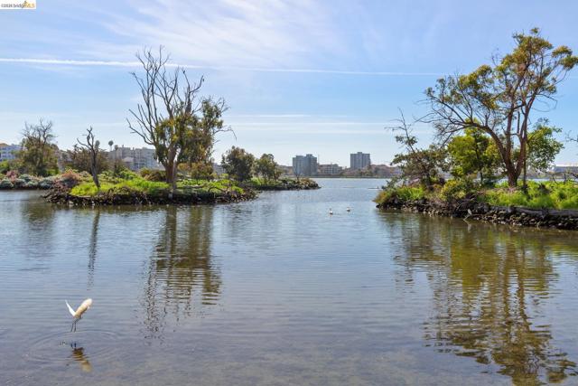 565 Bellevue Ave, Oakland CA: https://media.crmls.org/mediaz/d70083f2-cb85-42ba-ac05-c42dbfcaa23e.jpg