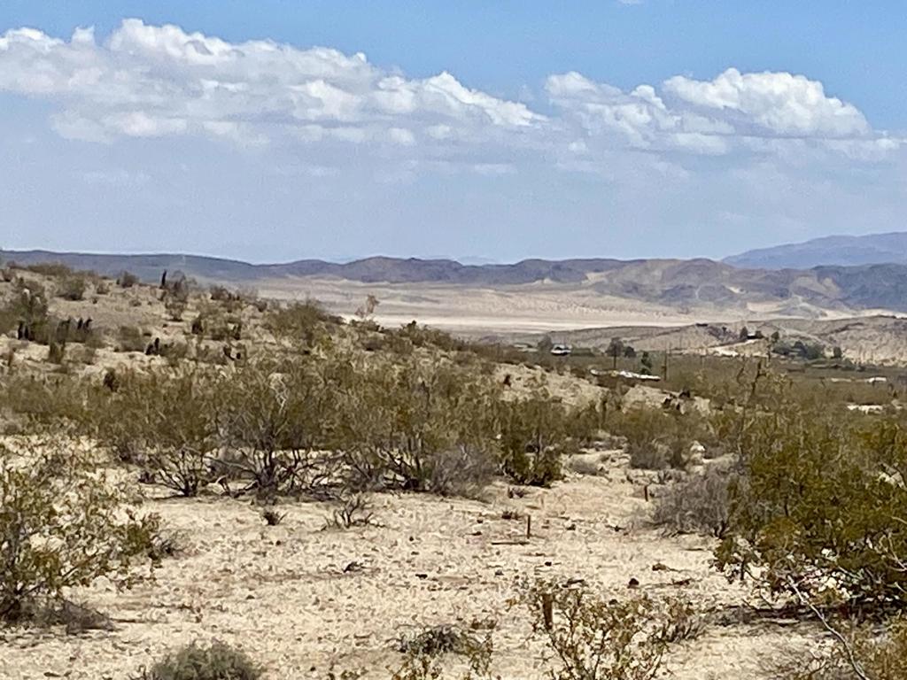 MLS #219134434PS image #11