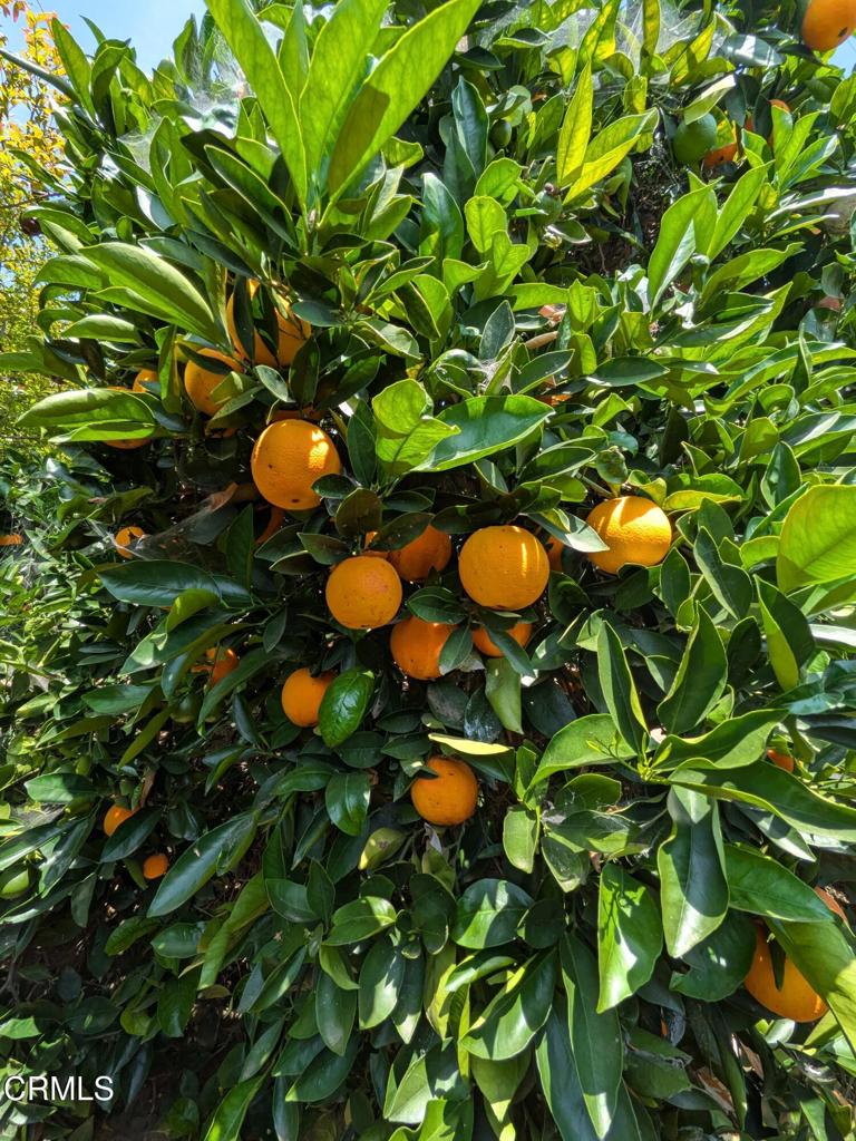 https://media.crmls.org/mediaz/d7079268-49ce-4891-a390-365bc0319e48.jpg?preset=X-Large