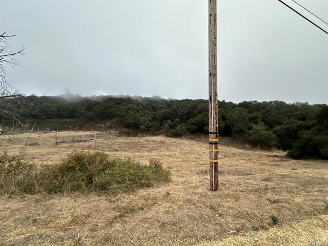 216 Tucker Road, Royal Oaks CA: https://media.crmls.org/mediaz/d7089b57-9387-45ba-8a6c-426af699d2a4.jpg