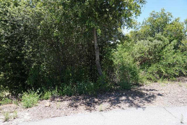 35419 Sunset Ln, Julian, California 92036, ,Residential Land,For Sale,Sunset Ln,PTP2403325