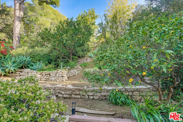 3246 Benda Street, Los Angeles CA: https://media.crmls.org/mediaz/d72800d1-0b22-4b46-85c2-0eb07c9b6f03.jpg