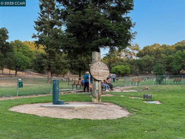 101 Lena Ct, Pleasant Hill CA: https://media.crmls.org/mediaz/d732fc1d-8018-4ee2-a402-f82f906cf555.jpg