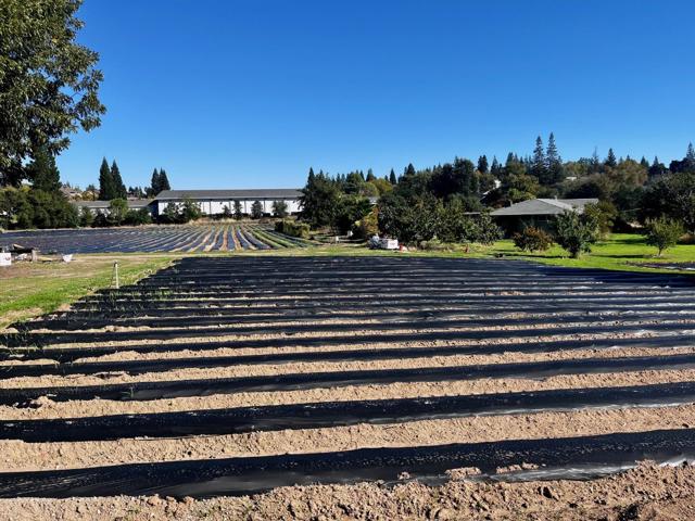 7314 Santa Juanita Avenue, Orangevale CA: https://media.crmls.org/mediaz/d7333b24-5e3d-44c2-bac0-ce2420a2467c.jpg