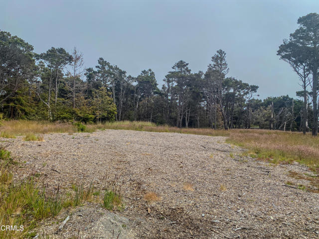 45465 Pacifica Drive, Caspar CA: https://media.crmls.org/mediaz/d736b589-e45c-4f24-9a5e-47329f5f2c84.jpg