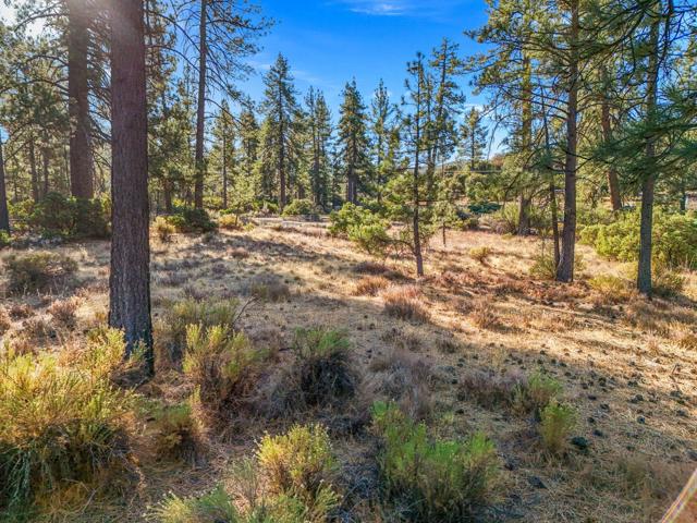 1 Pipe Creek Road, Mountain Center CA: https://media.crmls.org/mediaz/d750c4d8-bd2f-4385-8c4a-6419c57f41b3.jpg