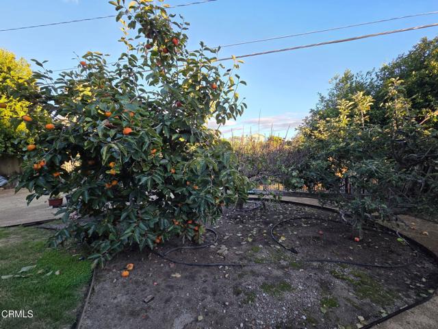 Detail Gallery Image 44 of 46 For 448 Court Ave, Ventura,  CA 93003 - 3 Beds | 2/1 Baths