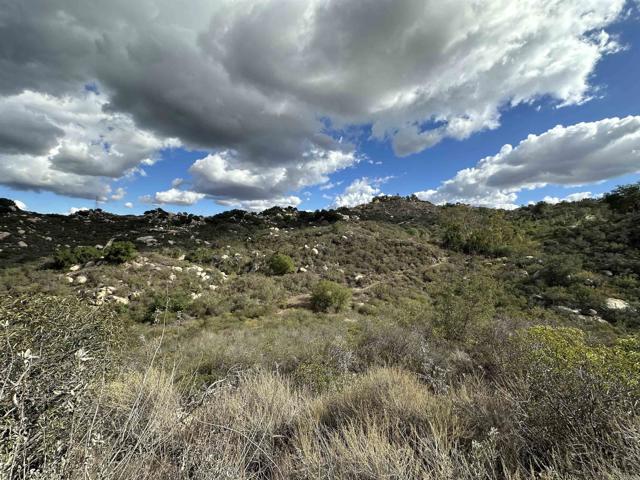 Detail Gallery Image 56 of 63 For 2494 Donnil Lane, Fallbrook,  CA 92028 - 3 Beds | 2 Baths