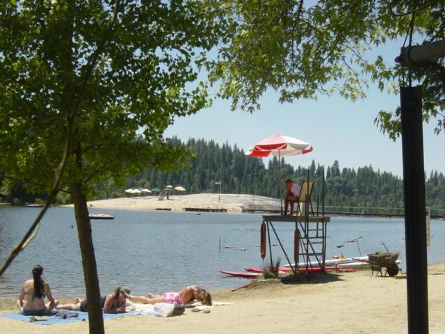 18861 Lookout Drive, Twain Harte CA: https://media.crmls.org/mediaz/d7610c16-130b-4c09-ae4d-a1db075b3f9d.jpg