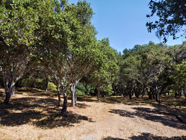 4 Holding Field Run, Carmel CA: https://media.crmls.org/mediaz/d7621105-499f-44a9-bb48-7de648275820.jpg