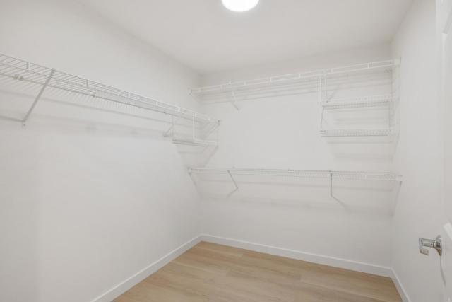 1310 Saddle Rack Street, San Jose CA: https://media.crmls.org/mediaz/d76b1a8e-5016-4cc9-8444-cdda777405b0.jpg