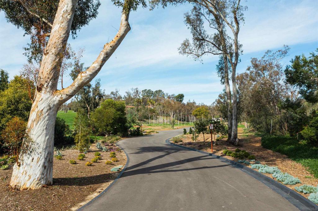 16256 Via Del Alba, Rancho Santa Fe, CA 92067