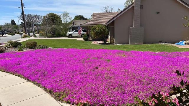 22720 Picador Drive, Salinas CA: https://media.crmls.org/mediaz/d7712ab4-27d7-4dad-adce-86b63782e304.jpg