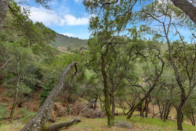 3005 Tohara Way, Morgan Hill CA: https://media.crmls.org/mediaz/d7777b09-08ac-4d87-9158-f170f8a6d449.jpg