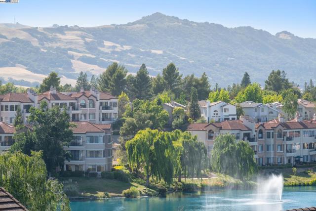 447 Donner Way, San Ramon CA: https://media.crmls.org/mediaz/d782a35a-699d-4530-af5f-7f66a78ce72c.jpg