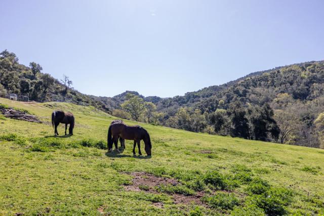 20215 Cachagua Road, Carmel Valley CA: https://media.crmls.org/mediaz/d788a37b-41c1-4b60-a239-1aafb153c77f.jpg