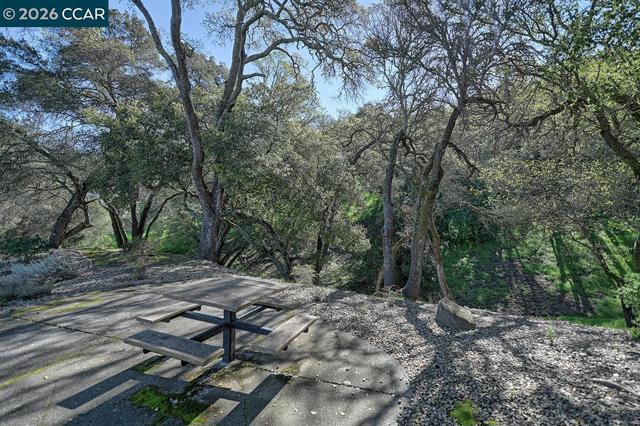 Image 45 of 59 For 4372 Terra Granada Dr  1a