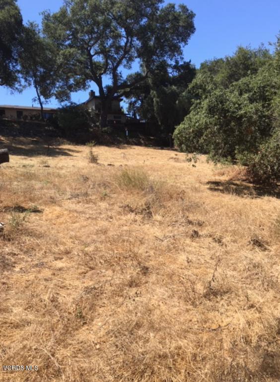2442 Valley Meadow Drive, Oak View CA: https://media.crmls.org/mediaz/d795f8bc-f2d3-4f62-b823-d9ea3c2367ad.jpg