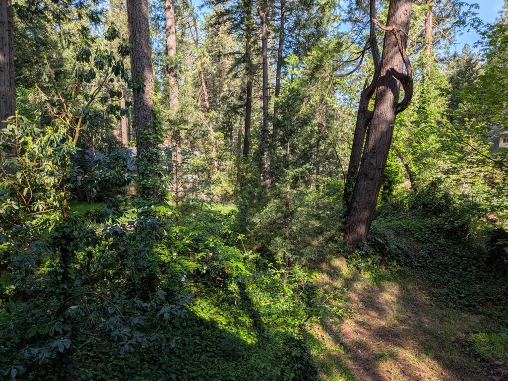 https://media.crmls.org/mediaz/d797e98f-d7c3-4e54-92ca-bc79fd424e93.jpg?preset=X-Large