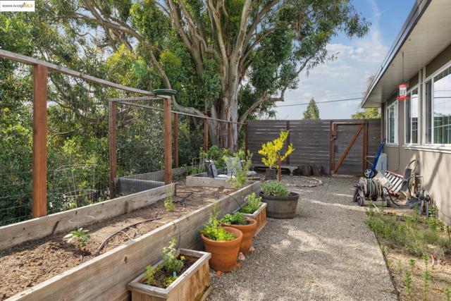 5345 Crown Ct, Castro Valley CA: https://media.crmls.org/mediaz/d79df974-dc23-4747-b38d-74e4d5f5e79d.jpg