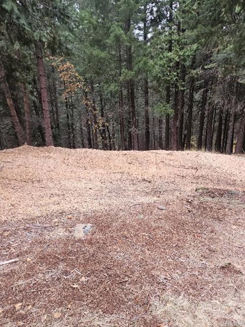 Detail Gallery Image 2 of 2 For 4952 Sierra Springs Drive, Pollock Pines,  CA 95726 - – Beds | – Baths