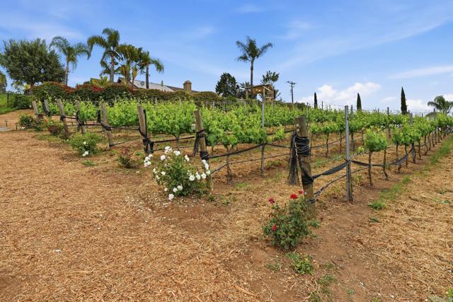 Detail Gallery Image 37 of 57 For 1655 Colina, Fallbrook,  CA 92028 - 3 Beds | 2 Baths