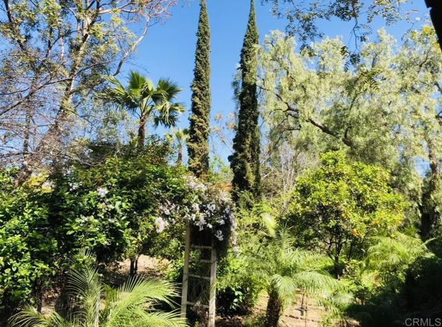 Detail Gallery Image 59 of 65 For 7401 Luna De Oro, Rancho Santa Fe,  CA 92067 - 4 Beds | 3/2 Baths