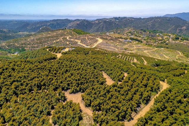Detail Gallery Image 13 of 40 For 45000 Rancho Fallbrook Rd, Temecula,  CA 92590 - – Beds | – Baths