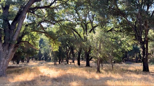 0 Arroyo Seco, Greenfield CA: https://media.crmls.org/mediaz/d7ba823d-a6ab-407e-aed1-dbdd0cf04432.jpg
