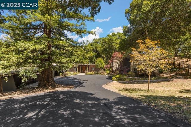 39 El Toyonal, Orinda CA: https://media.crmls.org/mediaz/d7bc6fe1-0b76-4d7e-9381-2afd40a69b6c.jpg