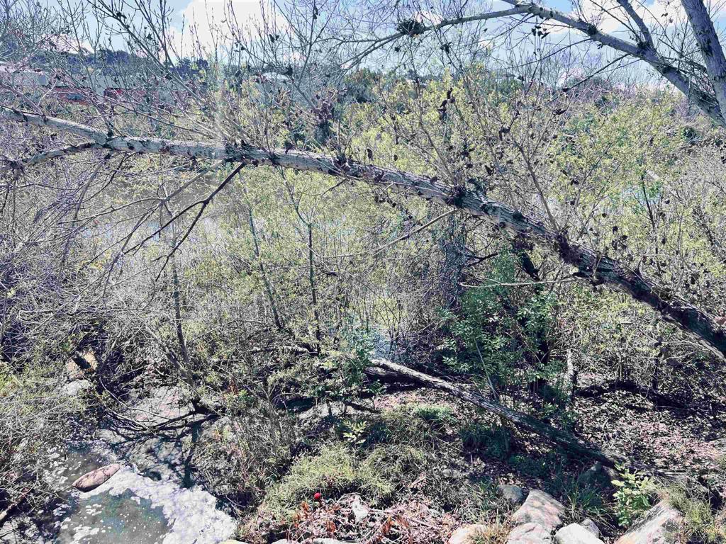 8043 Caminito De Pizza - photo 16