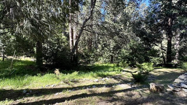 52143 Acorn Lane, Idyllwild CA: https://media.crmls.org/mediaz/d7c84742-b4bb-4879-bd41-03c5c0f68dc0.jpg