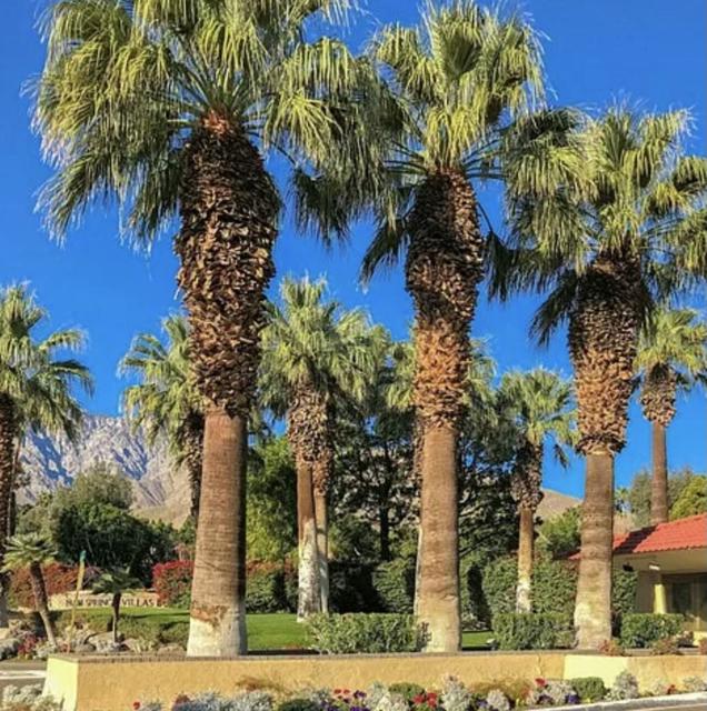 2801 N Los Felices E Circle, Palm Springs CA: https://media.crmls.org/mediaz/d7c9a7fb-bd84-4f47-ae5c-2d078c3e7146.jpg