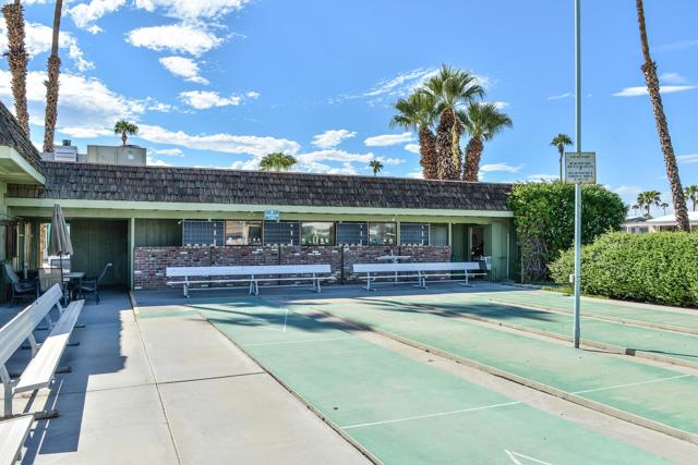 Shuffleboard