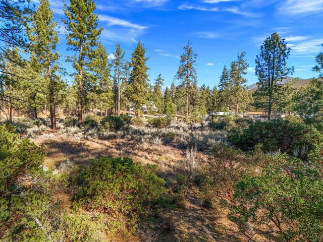 1 Pipe Creek Road, Mountain Center CA: https://media.crmls.org/mediaz/d7df44c1-1e66-4827-802d-3f7da9343ef6.jpg