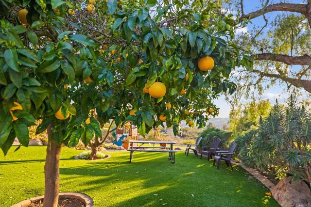 Detail Gallery Image 64 of 72 For 13613 Hillside Estates Dr, Jamul,  CA 91935 - 4 Beds | 4 Baths