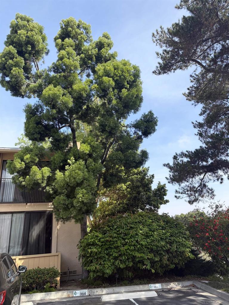 4296 5th Ave - photo 7