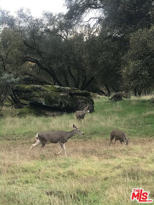 1 Blackhawk Lake, Coarsegold CA: https://media.crmls.org/mediaz/d7efe223-aa48-4391-b3f7-d9f3f09d6c8b.jpg