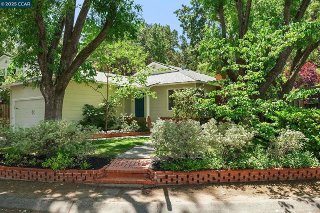 71 Maple Ln, Walnut Creek CA: https://media.crmls.org/mediaz/d7f03124-d33d-49d8-af4c-1b152cbb1281.jpg