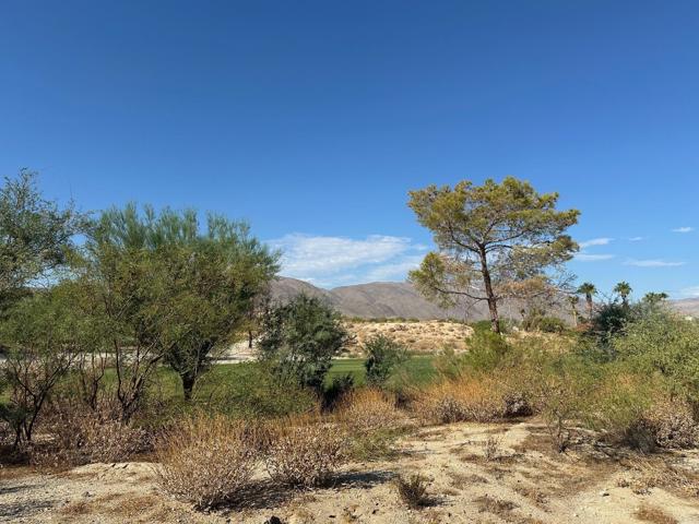 Detail Gallery Image 3 of 3 For 0 Roadrunner Dr, Borrego Springs,  CA 92004 - – Beds | – Baths