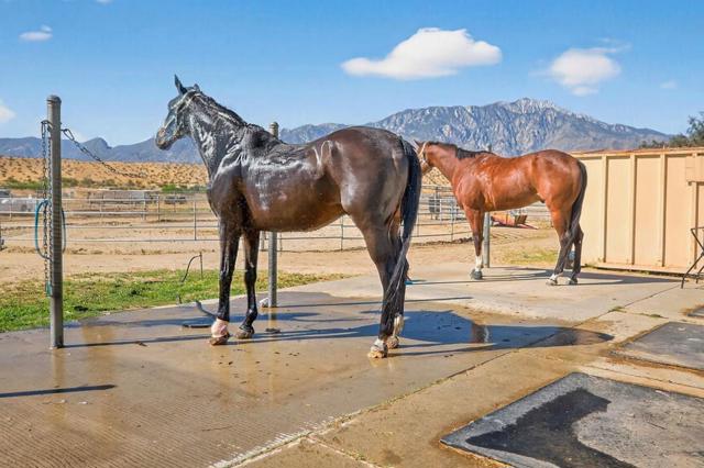 Image 21 of 49 For 20555 Mountain View Road