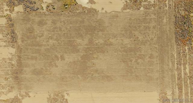 0 TBD, Rosamond CA: https://media.crmls.org/mediaz/d816bd33-2ced-4d2f-a565-99c855cc0e79.jpg