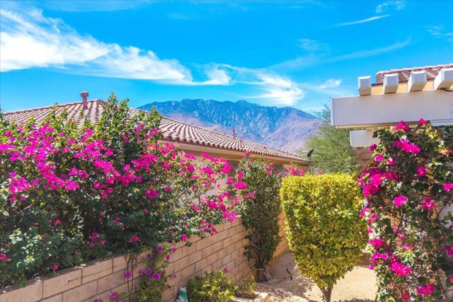 3330 Savanna Trail, Palm Springs CA: https://media.crmls.org/mediaz/d819eaaf-4ff7-43bd-9e2c-125e1eca3561.jpg