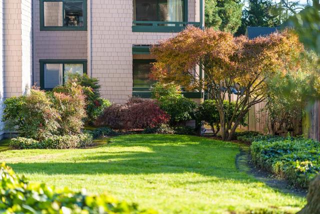 318 Soquel Avenue, Santa Cruz CA: https://media.crmls.org/mediaz/d81c7128-f591-47e3-b718-661fe9fe3e08.jpg