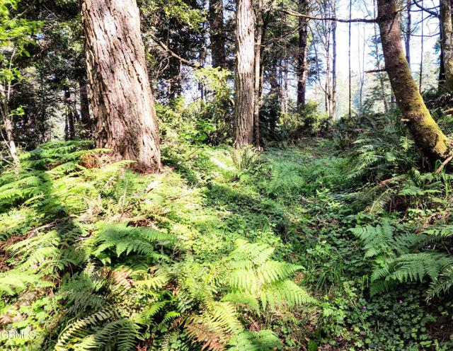 Detail Gallery Image 12 of 23 For 44551 Raven Ln, Mendocino,  CA 95460 - – Beds | – Baths