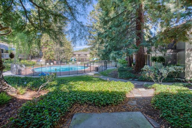 505 Cypress Point Drive, Mountain View CA: https://media.crmls.org/mediaz/d827304e-ee29-45bf-88cf-765ca3b3aa4e.jpg